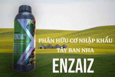 Chất lượng tạo ra sự khác biệt